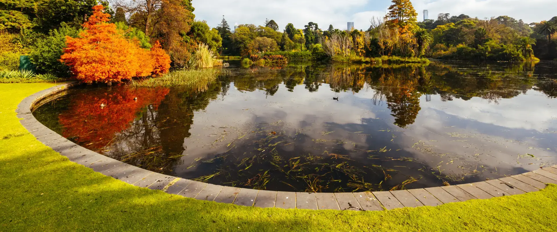 3L Land Services finished pond water feature landscaped property ivanhoe tx 3l land services