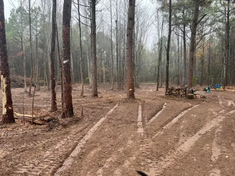 3L Land Services residential land clearing pine timber thinning ivanhoe tx 3l land services