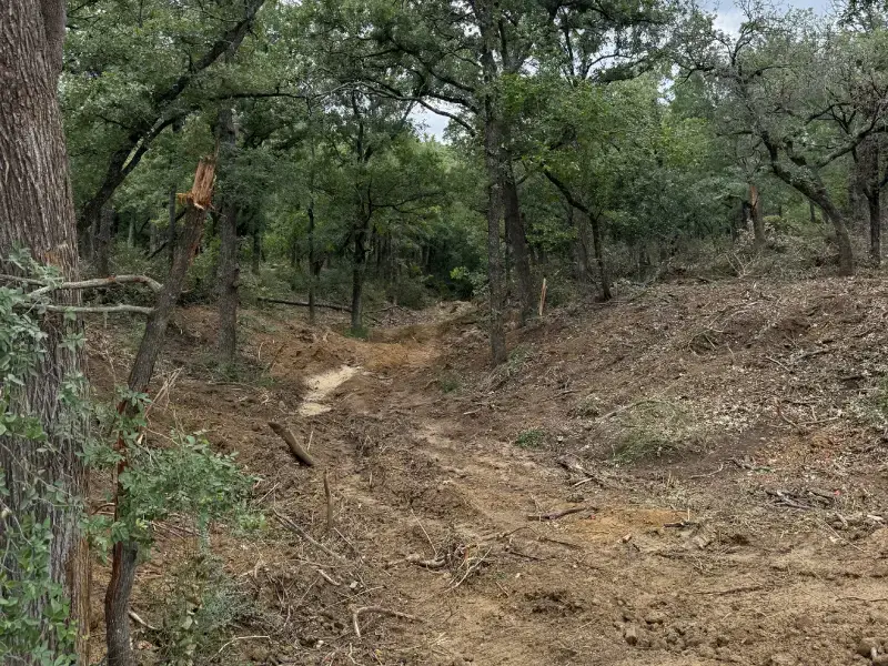 3L Land Services underbrush clearing oak woodland access road cut ivanhoe tx 3l land services