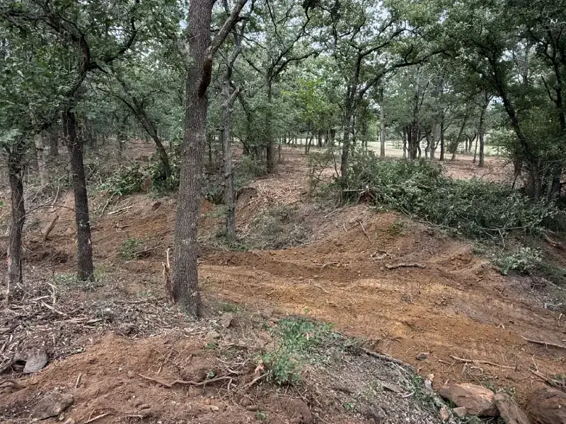 3L Land Services underbrush removal oak timber stand property clearing ivanhoe tx 3l land services